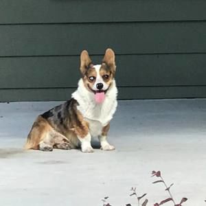 Meet your Posher, Mandy